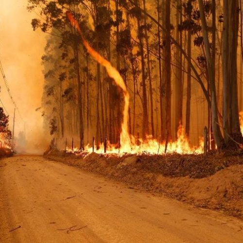 Aumento alarmante das queimadas no Brasil 